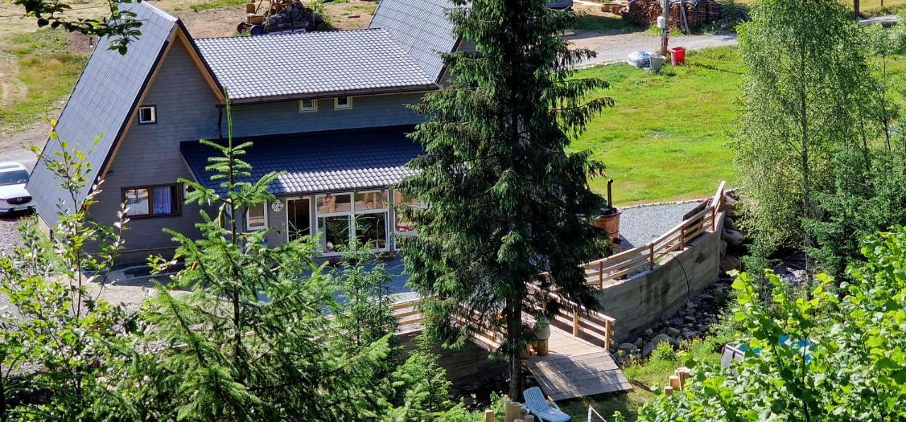 Cabana Din Vale Arieseni Apuseni Exterior foto
