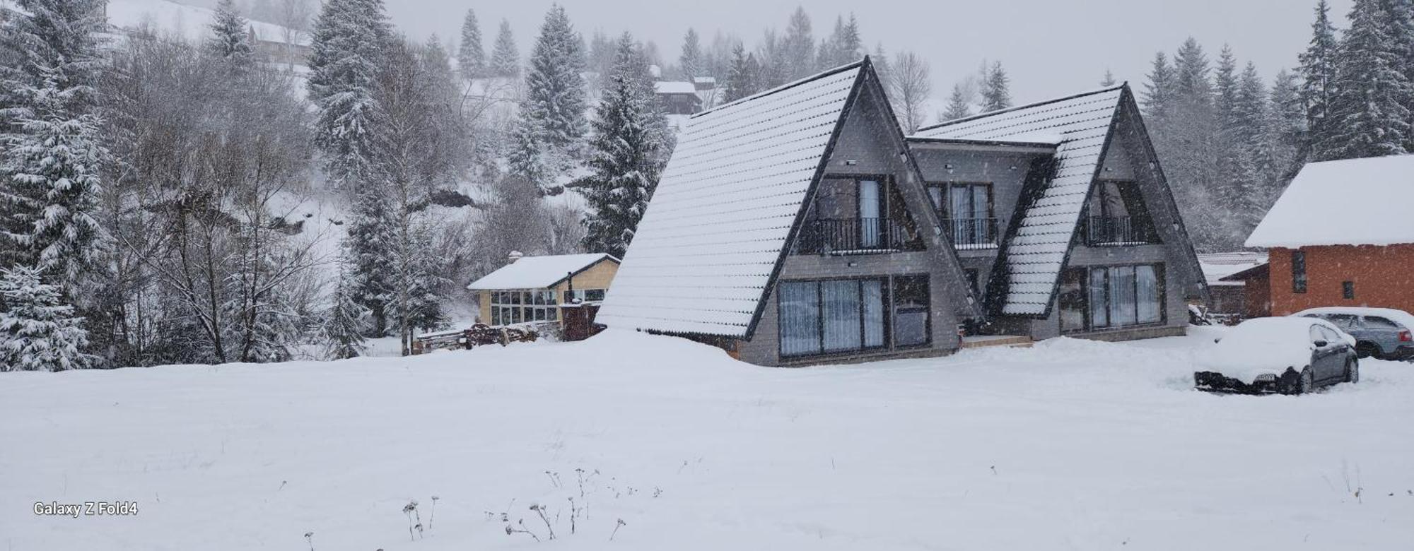 Cabana Din Vale Arieseni Apuseni Exterior foto