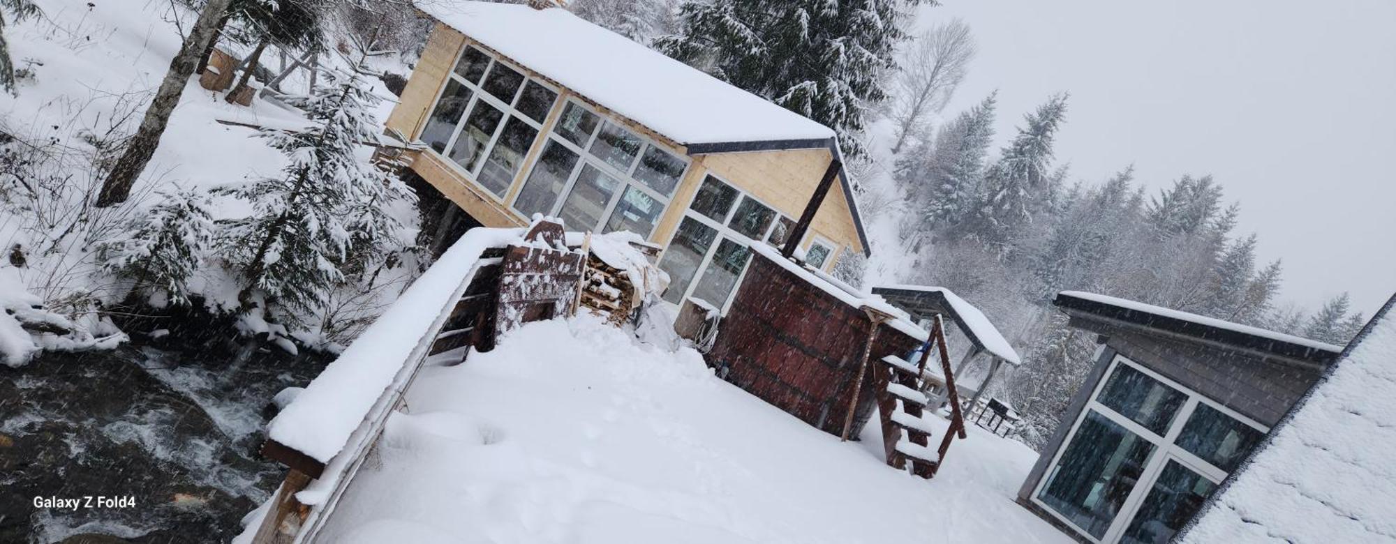 Cabana Din Vale Arieseni Apuseni Exterior foto